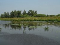 NL, Noord-Brabant, 's Hertogenbosch, Bossche broek 16, Saxifraga-Willem van Kruijsbergen